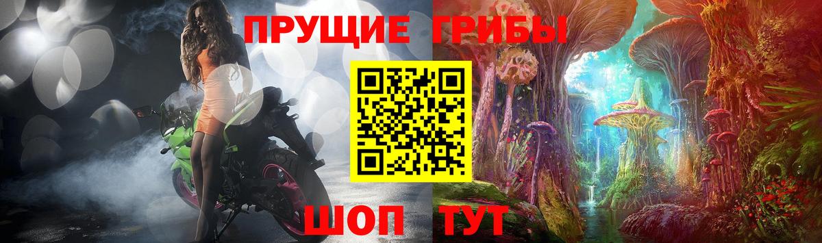 Азнакаево  Псилоцибиновые грибы прущие грибы  Вход с VPN 